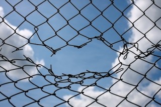 ec6247b9f44e0efe4b3e8a650521f93d.500x334x1